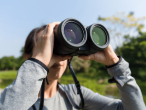 Best 10x42 Binoculars for Birdwatching