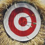 Best Archery Target Reduced