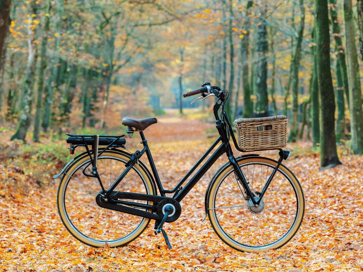 3 Best Bike Baskets for Carrying Your Essentials