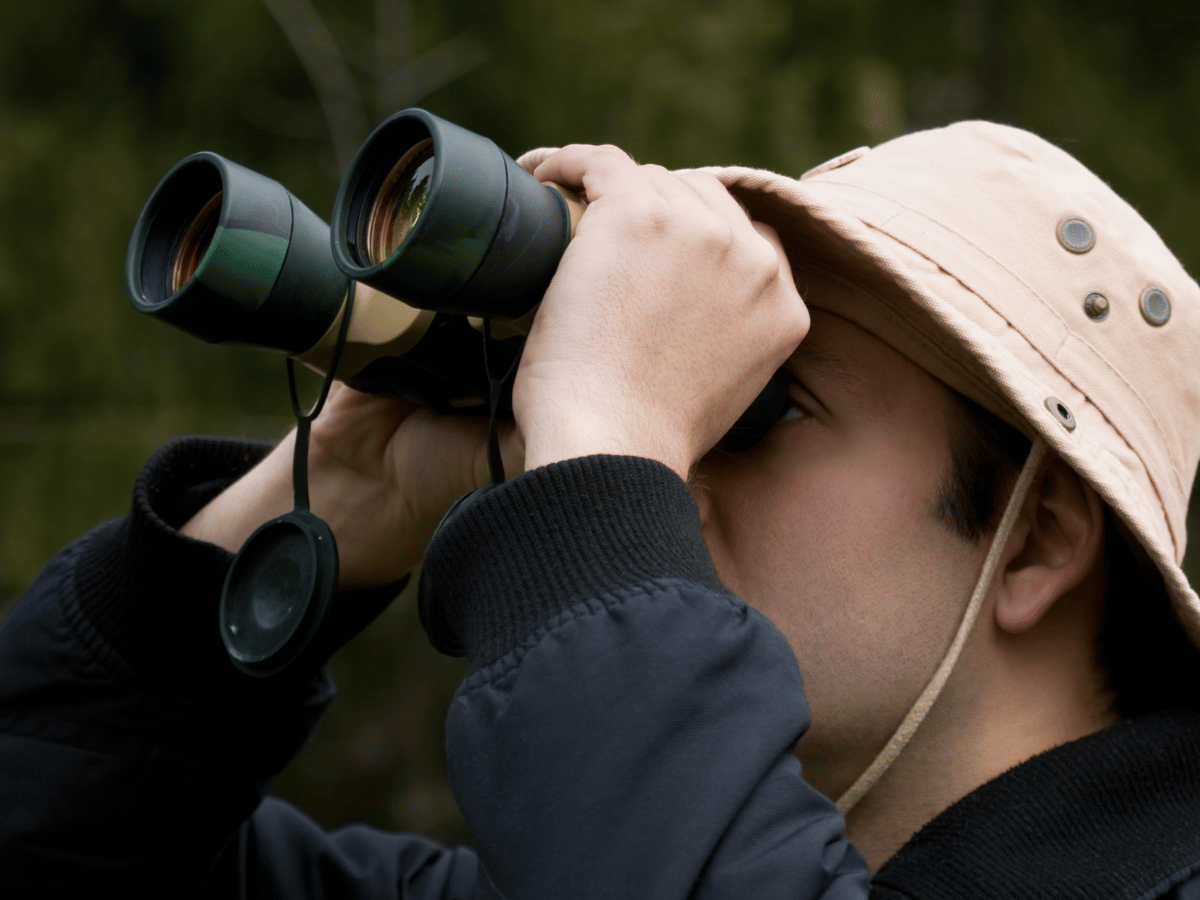 Best Budget Binoculars for Birdwatching