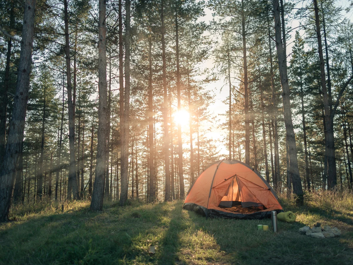 Best Camping Products: Makes You Want To Stay Longer