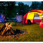 Best Coolers For Camping