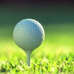 best golf balls on Tee