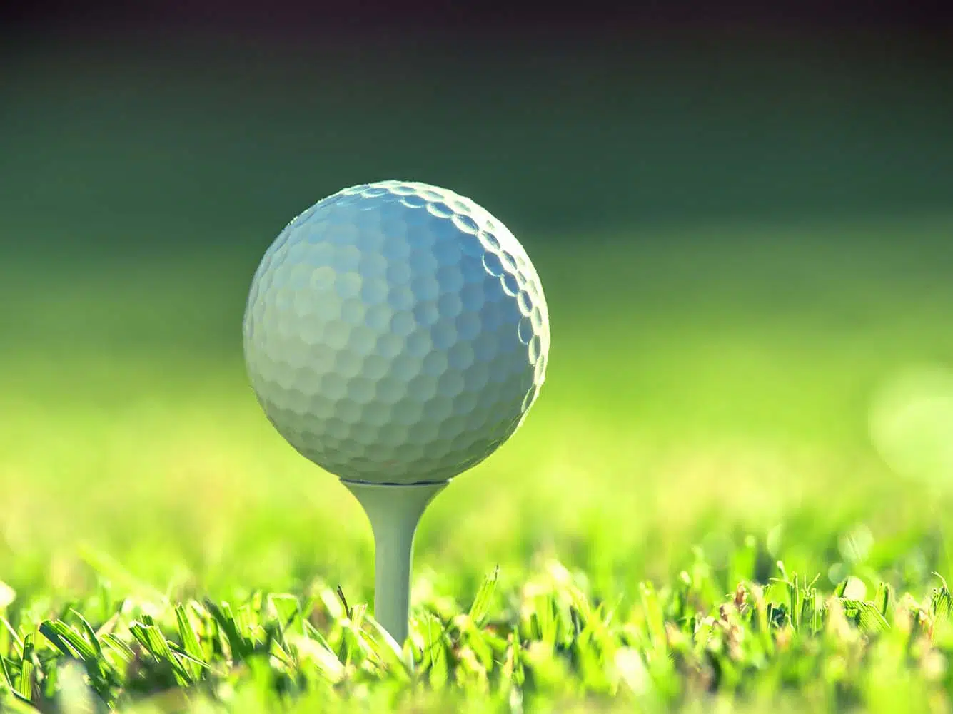 7 Best Golf Balls [Reviewed]