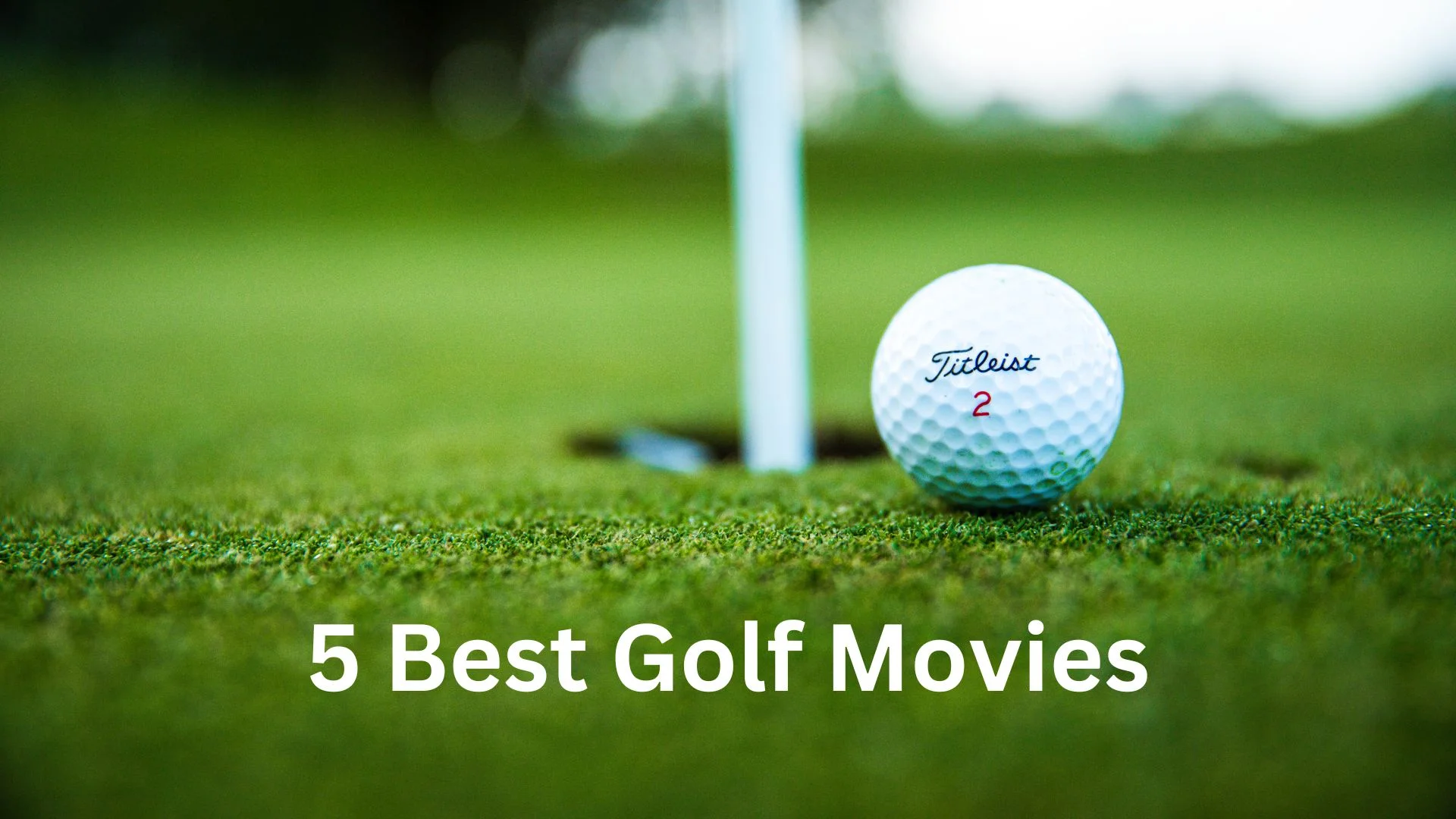 5 Best Golf Movies: From Caddyshack to Happy Gilmore