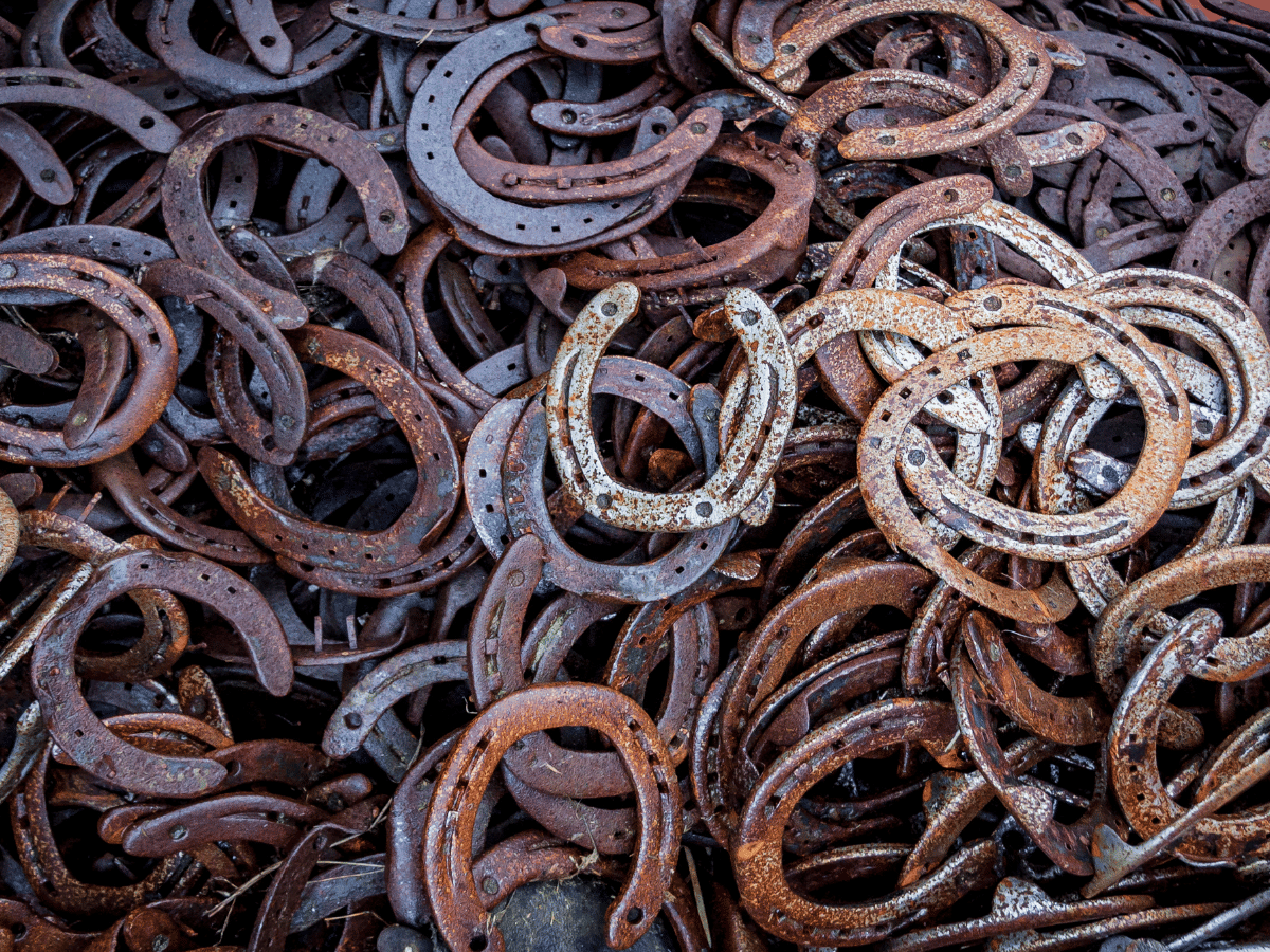 Best Horseshoes for Winning at Your Next Backyard BBQ