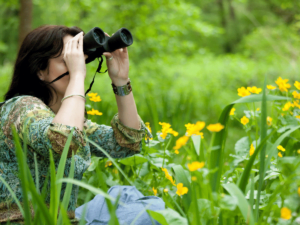 Best Lightweight Binoculars for Birdwatching