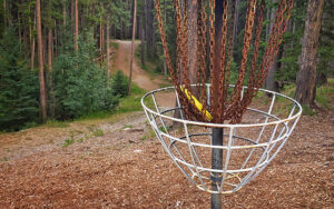 Disc Golf