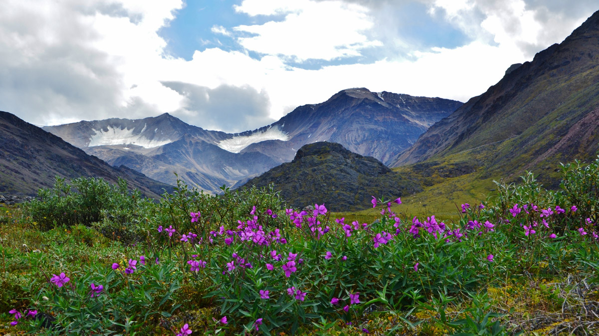 Gates of the Arctic National Park Untouched Wilderness Guide