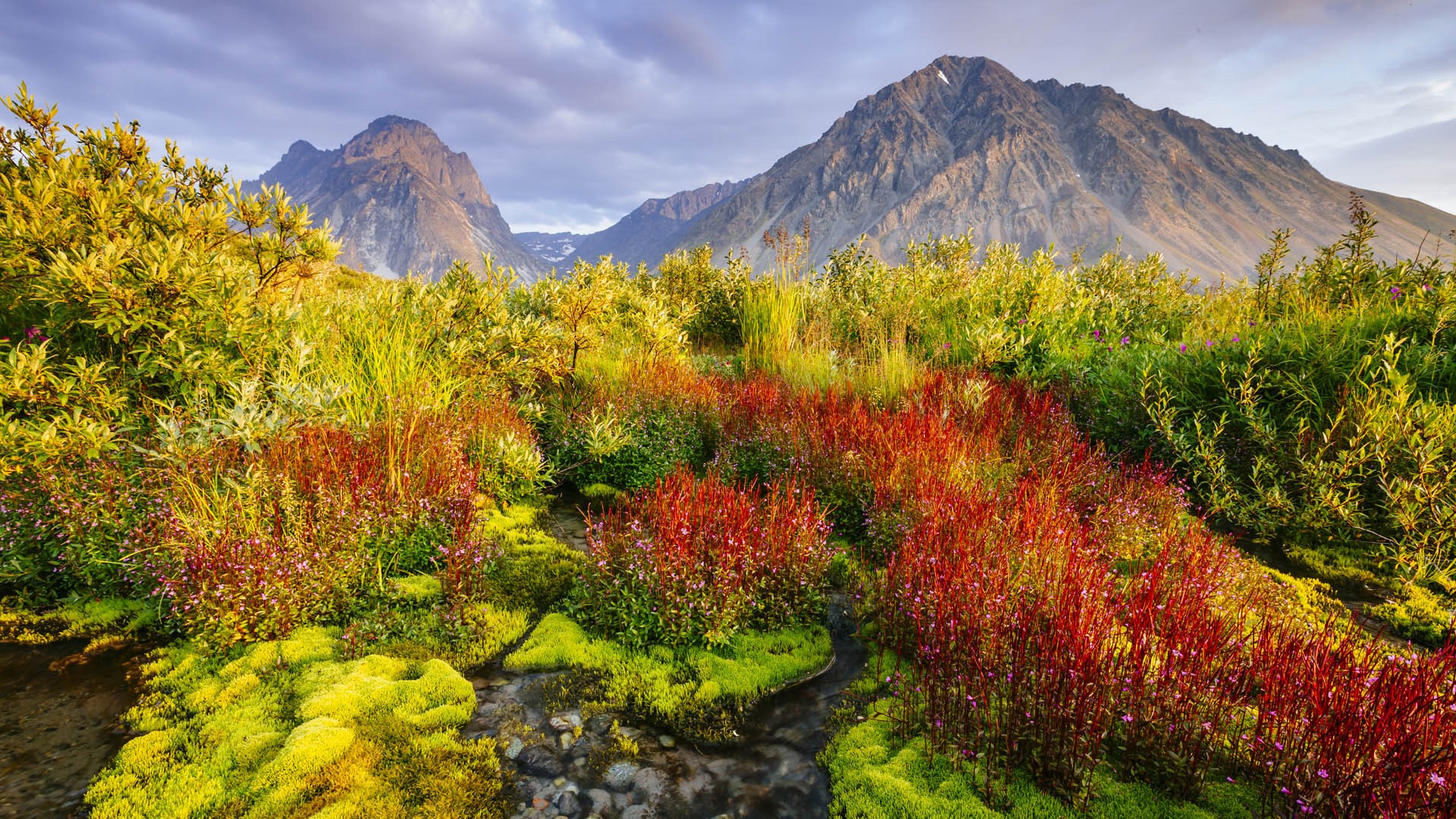 Lake Clark National Park: Alaskan Wilderness And Wildlife