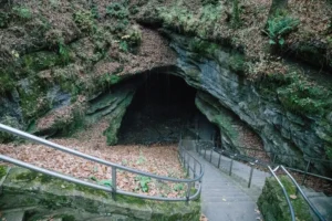 Mammoth Cave National Park