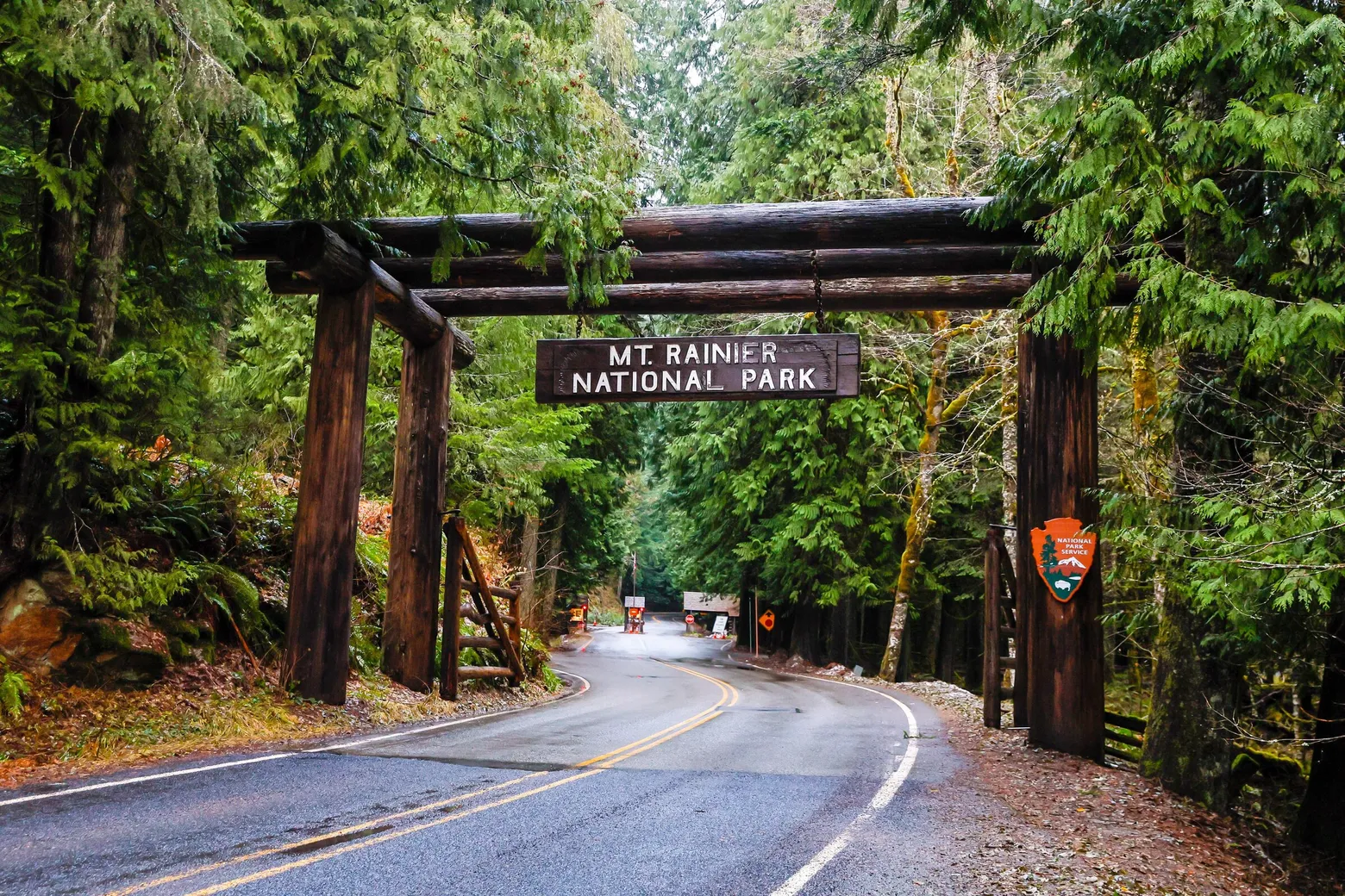 Mount Rainier National Park: Washington’s Stunning Natural Wonder