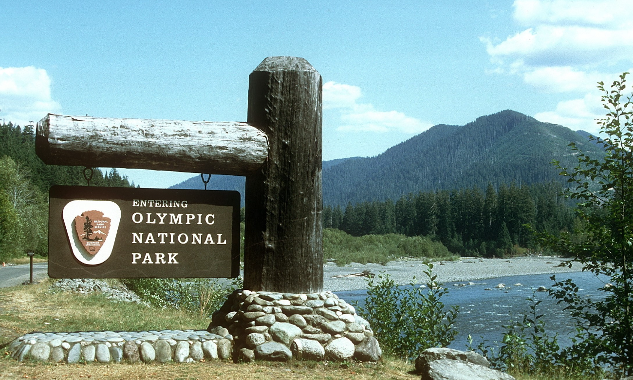 Olympic National Park: A Nature Lover’s Paradise