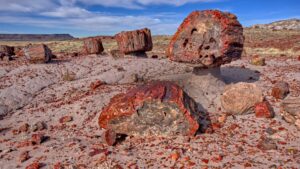 Petrified Forest National Park