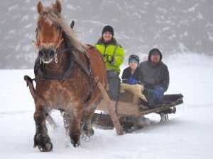 Winter Activities with Your Horse