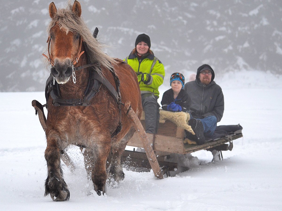 20 Fun Winter Activities With Your Horse