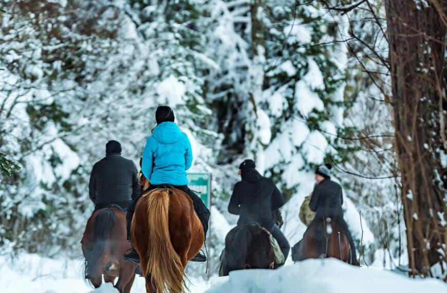 Winter Horseback Riding Into Forest