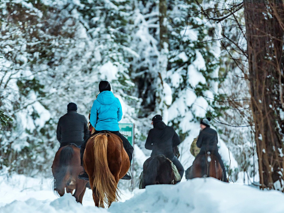 Winter Horseback Riding Guide – Keep You And Your Horse Safe