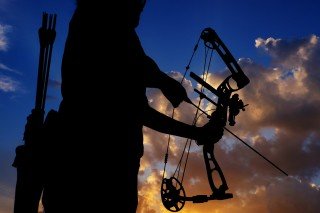 What Is A Compound Bow? (Archery)