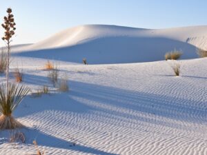 white sands national park